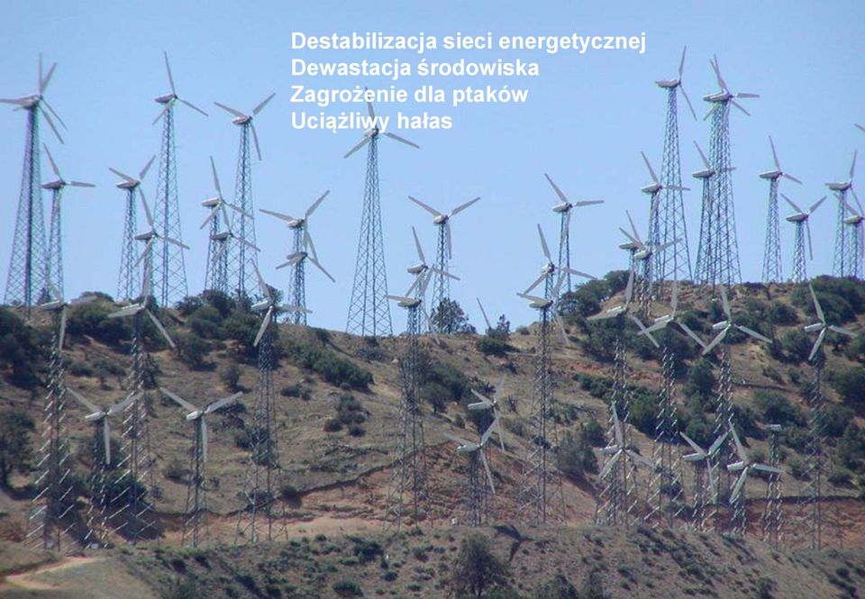 Dewastacja środowiska