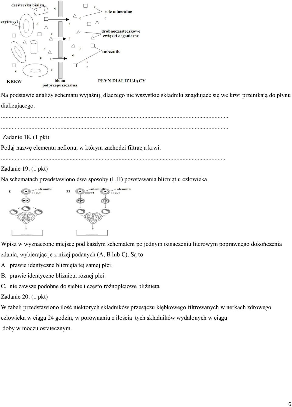 Wpisz w wyznaczone miejsce pod każdym schematem po jednym oznaczeniu literowym poprawnego dokończenia zdania, wybierając je z niżej podanych (A, B lub C). Są to A.