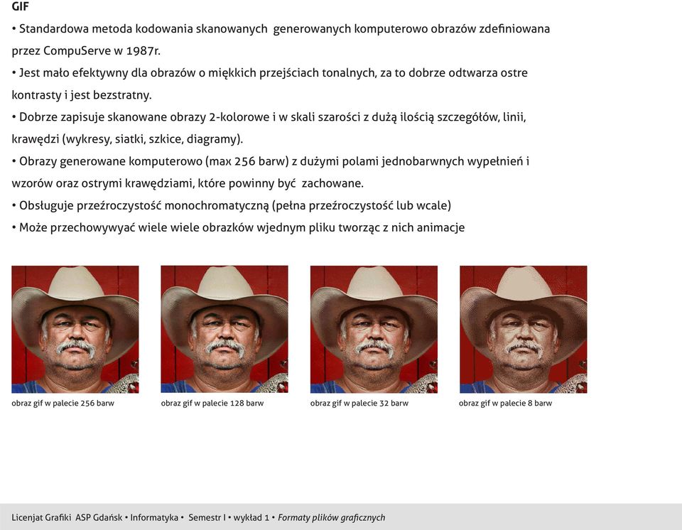 Dobrze zapisuje skanowane obrazy 2-kolorowe i w skali szarości z dużą ilością szczegółów, linii, krawędzi (wykresy, siatki, szkice, diagramy).