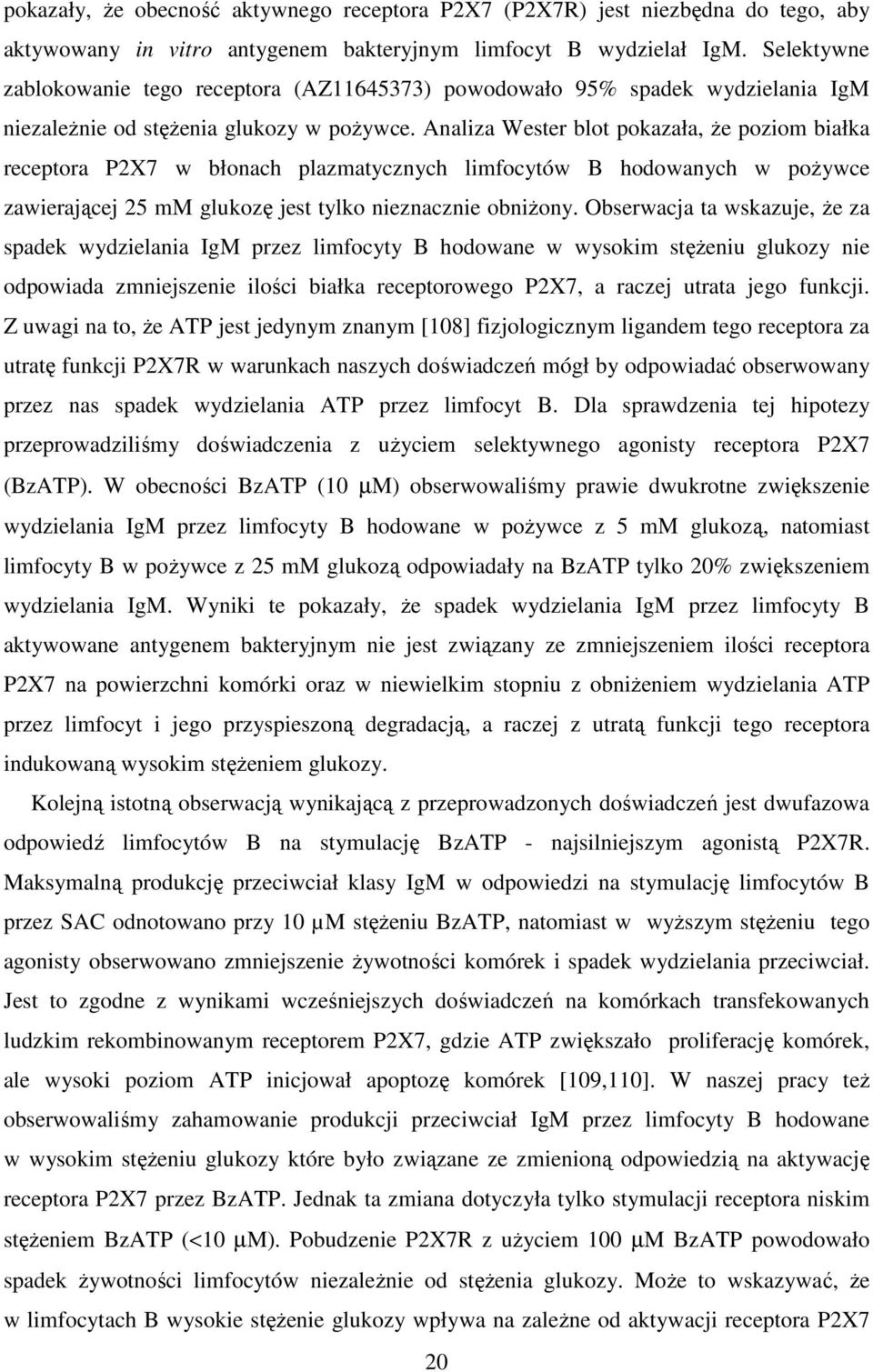 Analiza Wester blot pokazała, Ŝe poziom białka receptora P2X7 w błonach plazmatycznych limfocytów B hodowanych w poŝywce zawierającej 25 mm glukozę jest tylko nieznacznie obniŝony.