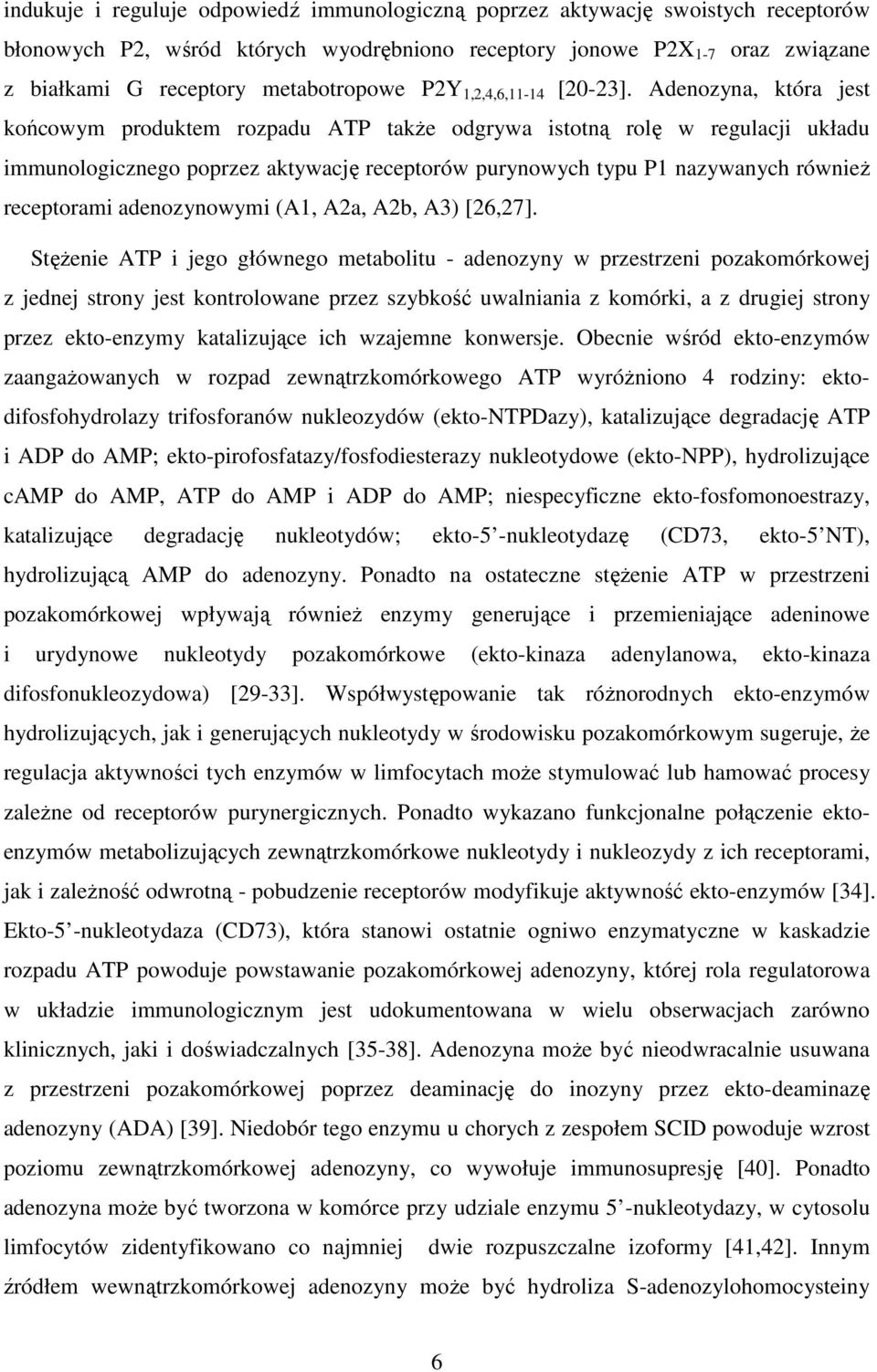 Adenozyna, która jest końcowym produktem rozpadu ATP takŝe odgrywa istotną rolę w regulacji układu immunologicznego poprzez aktywację receptorów purynowych typu P1 nazywanych równieŝ receptorami