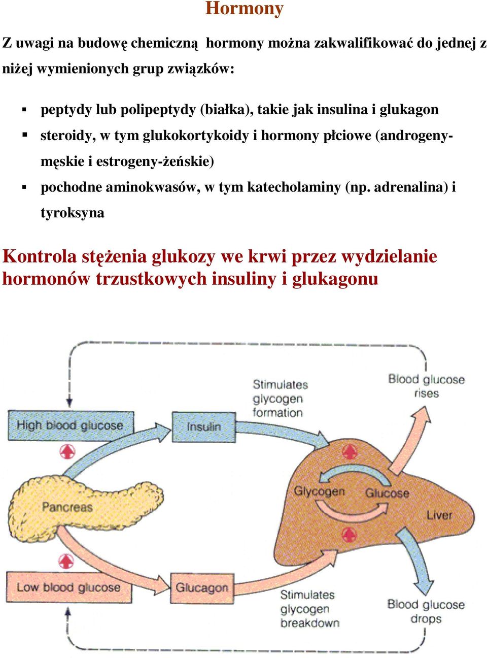 i hormony płciowe (androgenymęskie i estrogeny-ŝeńskie) pochodne aminokwasów, w tym katecholaminy (np.