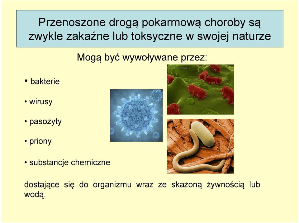 przez: bakterie wirusy pasożyty priony substancje