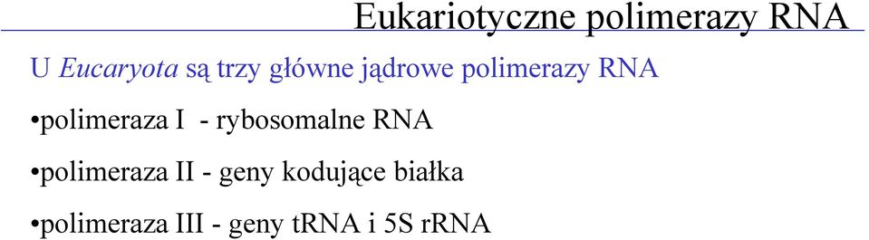 I - rybosomalne RNA polimeraza II - geny