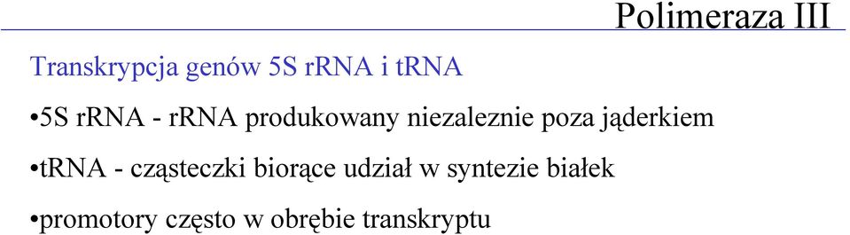 jąderkiem trna - cząsteczki biorące udział w