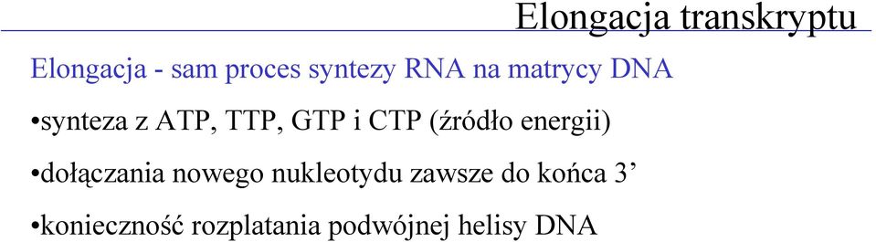 dołączania nowego nukleotydu zawsze do końca 3