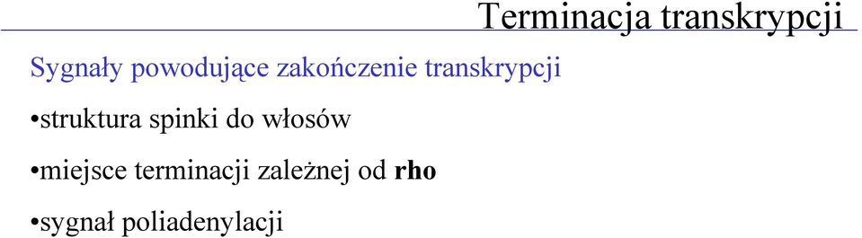 włosów miejsce terminacji zależnej od