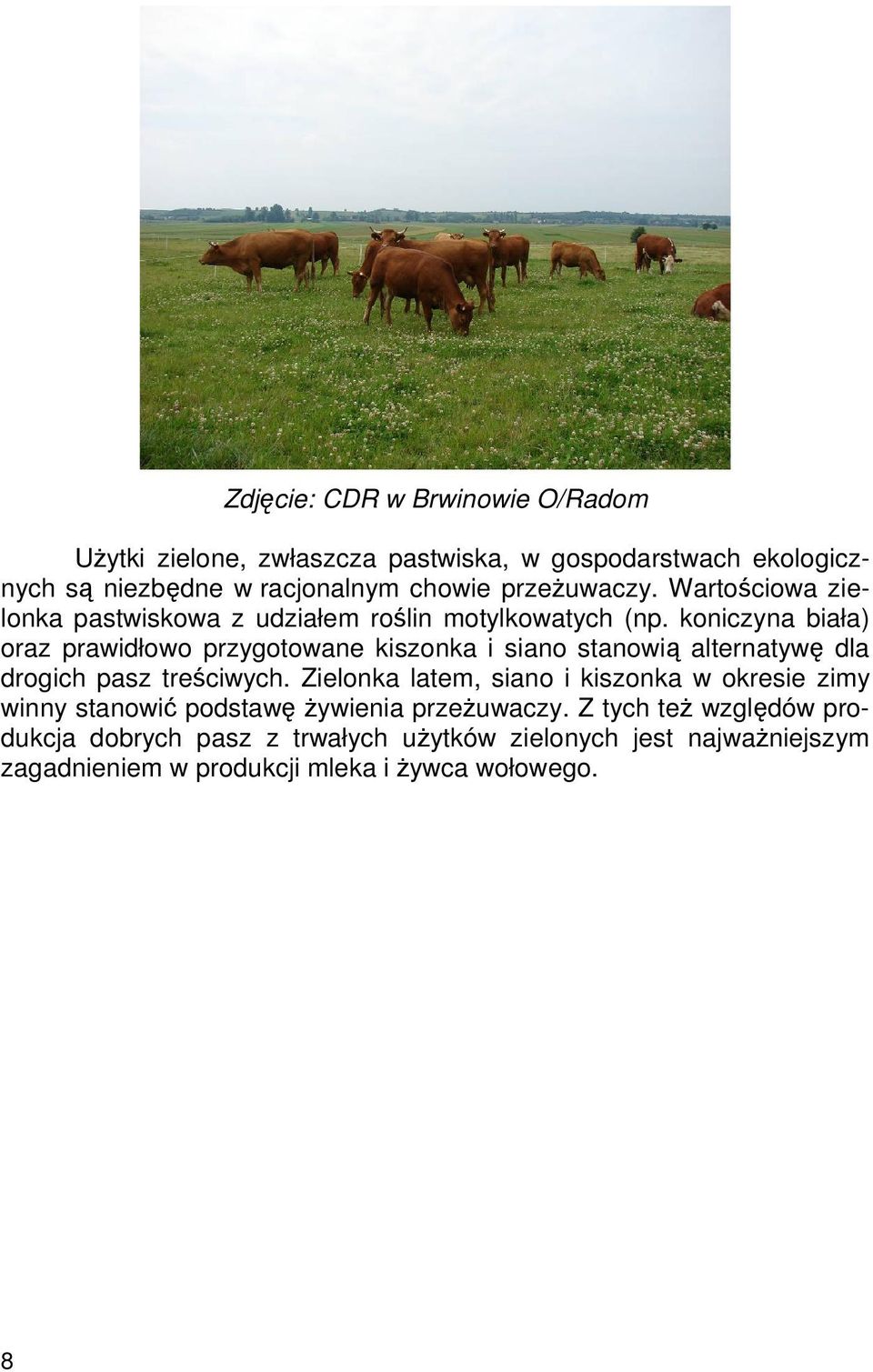 koniczyna biała) oraz prawidłowo przygotowane kiszonka i siano stanowią alternatywę dla drogich pasz treściwych.