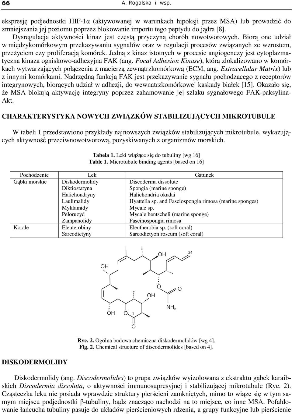 Biorą one udział w międzykomórkowym przekazywaniu sygnałów oraz w regulacji procesów związanych ze wzrostem, przeŝyciem czy proliferacją komórek.