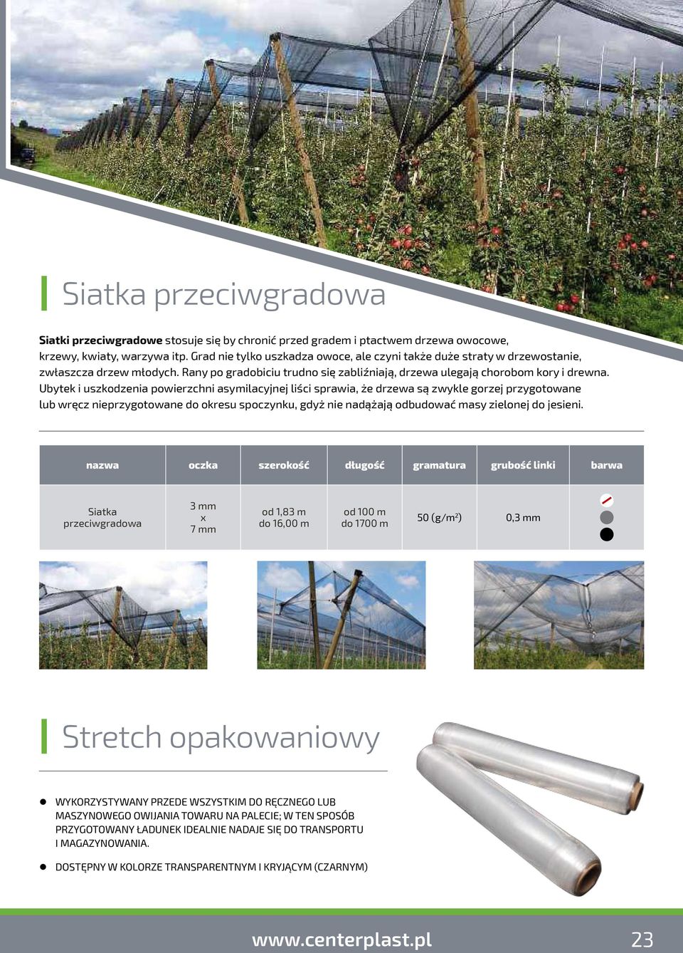 Ubytek i uszkodzenia powierzchni asymilacyjnej liści sprawia, że drzewa są zwykle gorzej przygotowane lub wręcz nieprzygotowane do okresu spoczynku, gdyż nie nadążają odbudować masy zielonej do