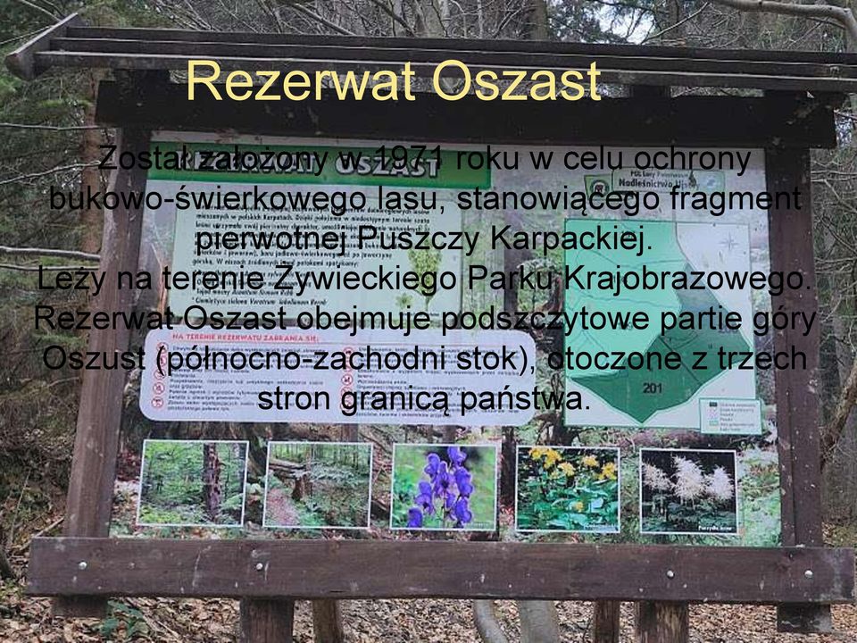 Leży na terenie Żywieckiego Parku Krajobrazowego.