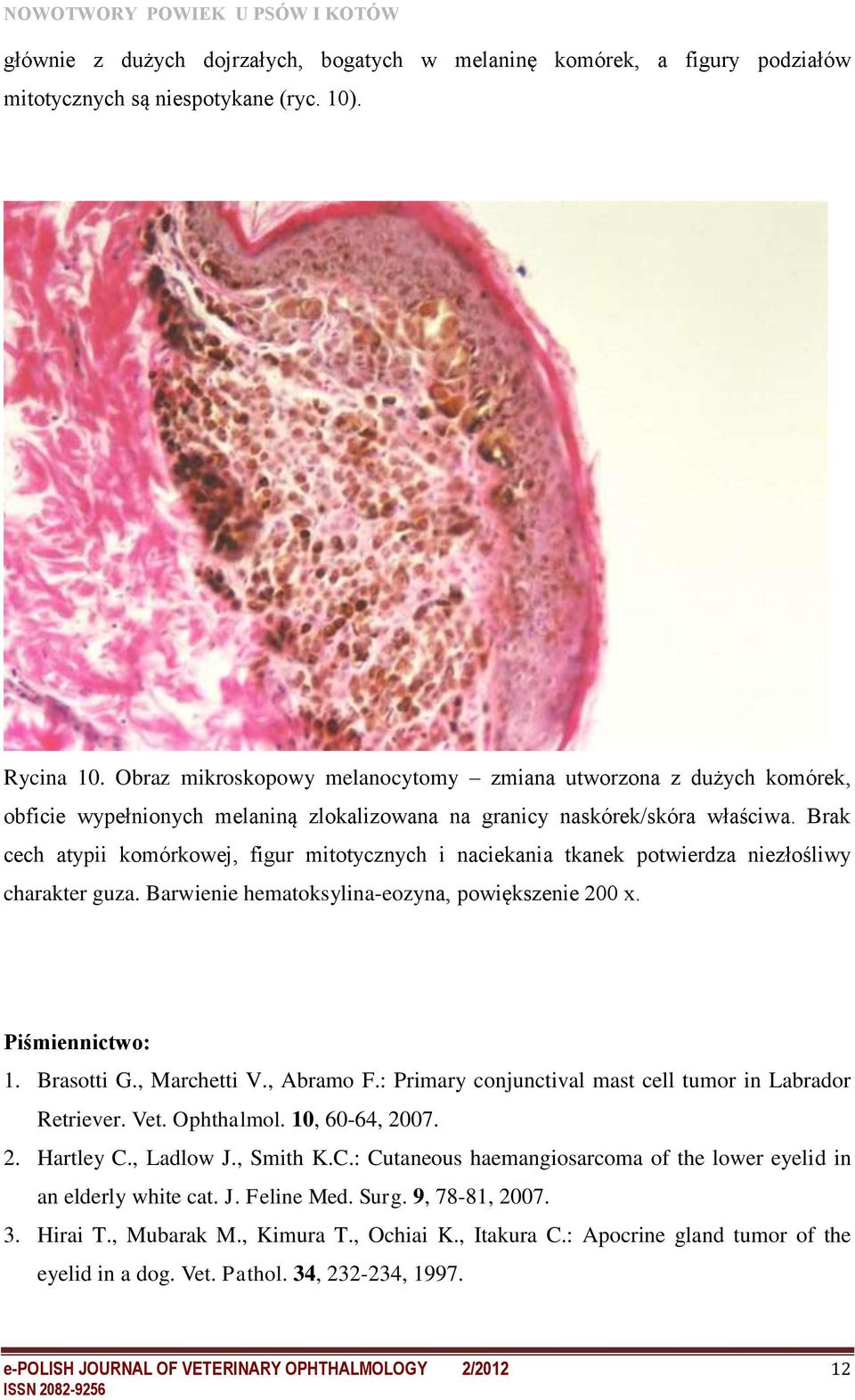 Brak cech atypii komórkowej, figur mitotycznych i naciekania tkanek potwierdza niezłośliwy charakter guza. Barwienie hematoksylina-eozyna, powiększenie 200 x. Piśmiennictwo: 1. Brasotti G.