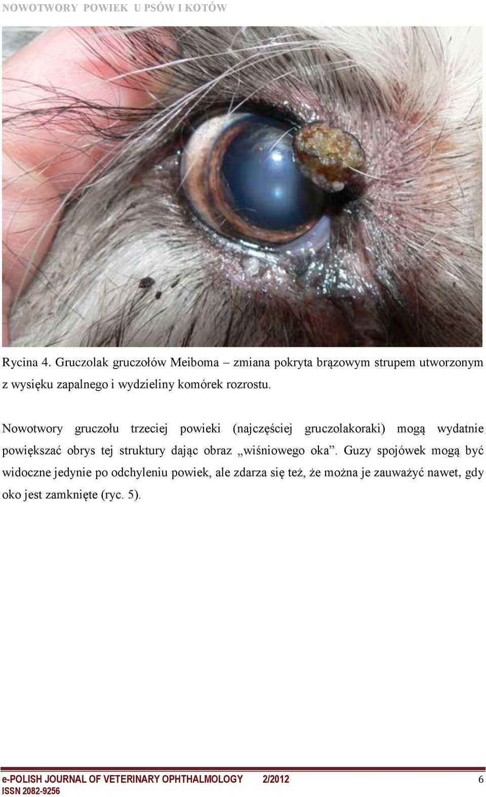 rozrostu.