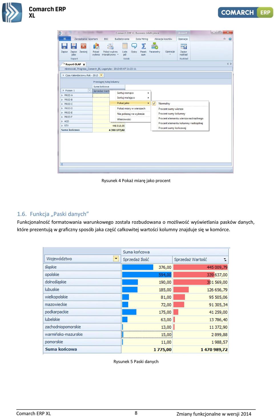 możliwość wyświetlania pasków danych, które prezentują w graficzny sposób jaka