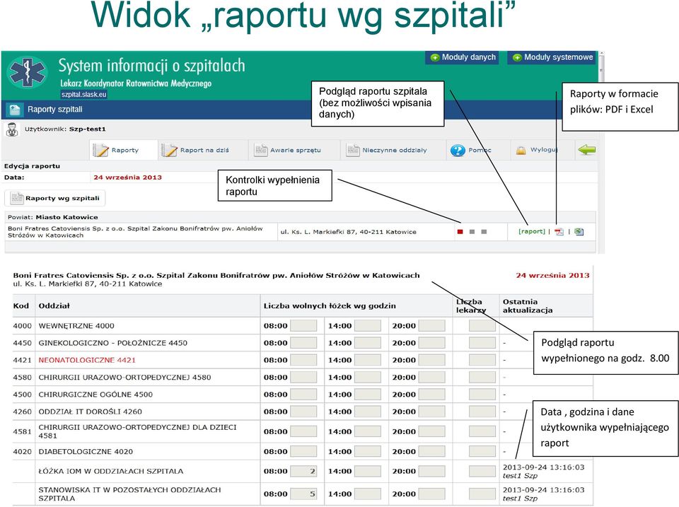 Excel Kontrolki wypełnienia raportu Podgląd raportu
