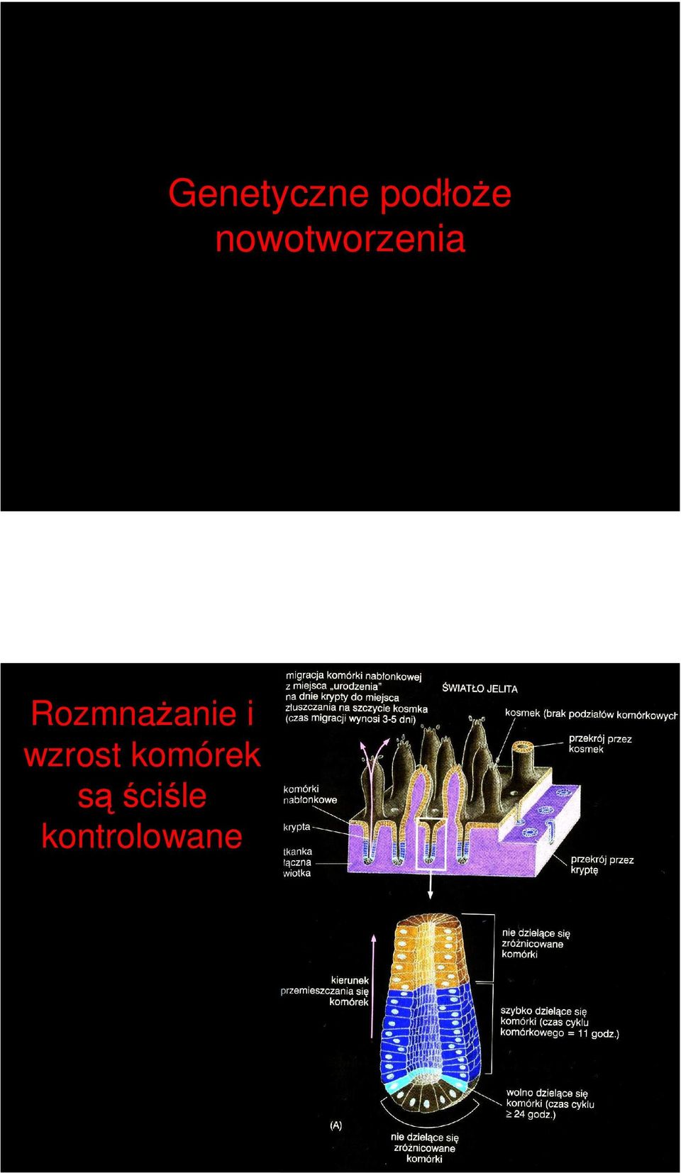 kontrolowane