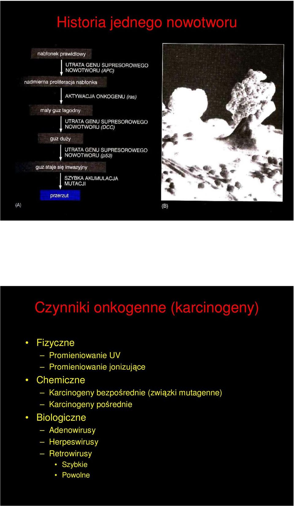 Karcinogeny bezpośrednie (związki mutagenne) Karcinogeny