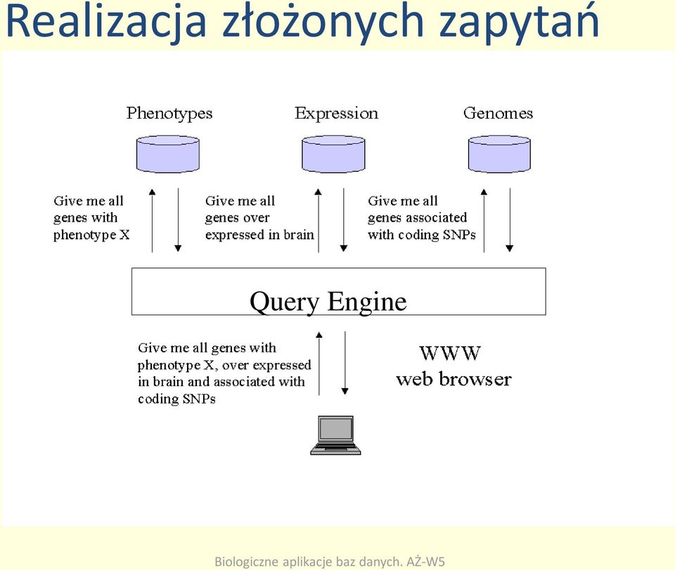 zapytao