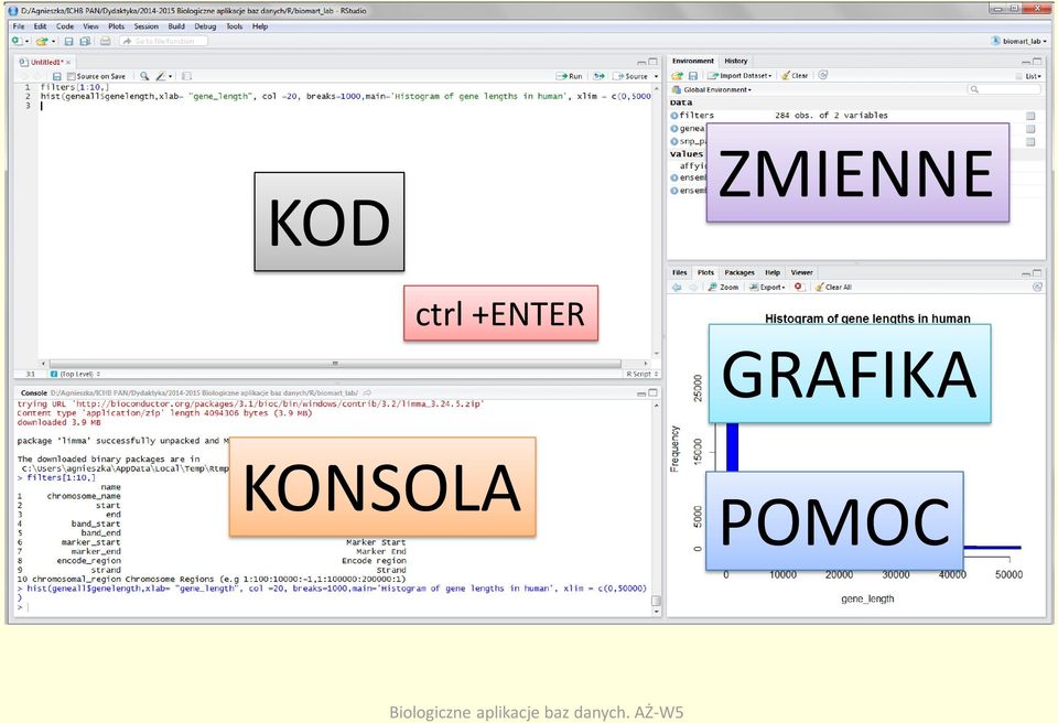GRAFIKA