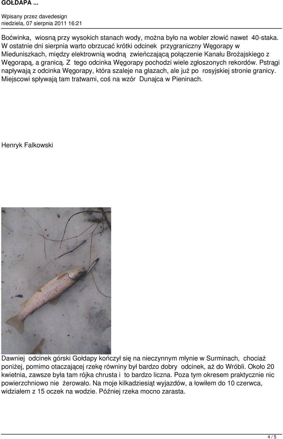 Z tego odcinka Węgorapy pochodzi wiele zgłoszonych rekordów. Pstrągi napływają z odcinka Węgorapy, która szaleje na głazach, ale już po rosyjskiej stronie granicy.