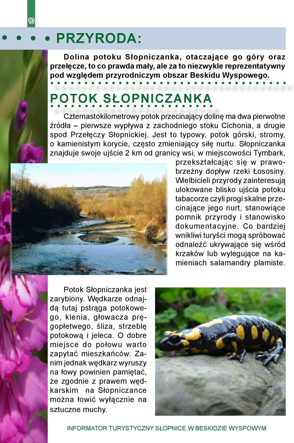 Jest to typowy, potok górski, stromy, o kamienistym korycie, często zmieniający siłę nurtu.
