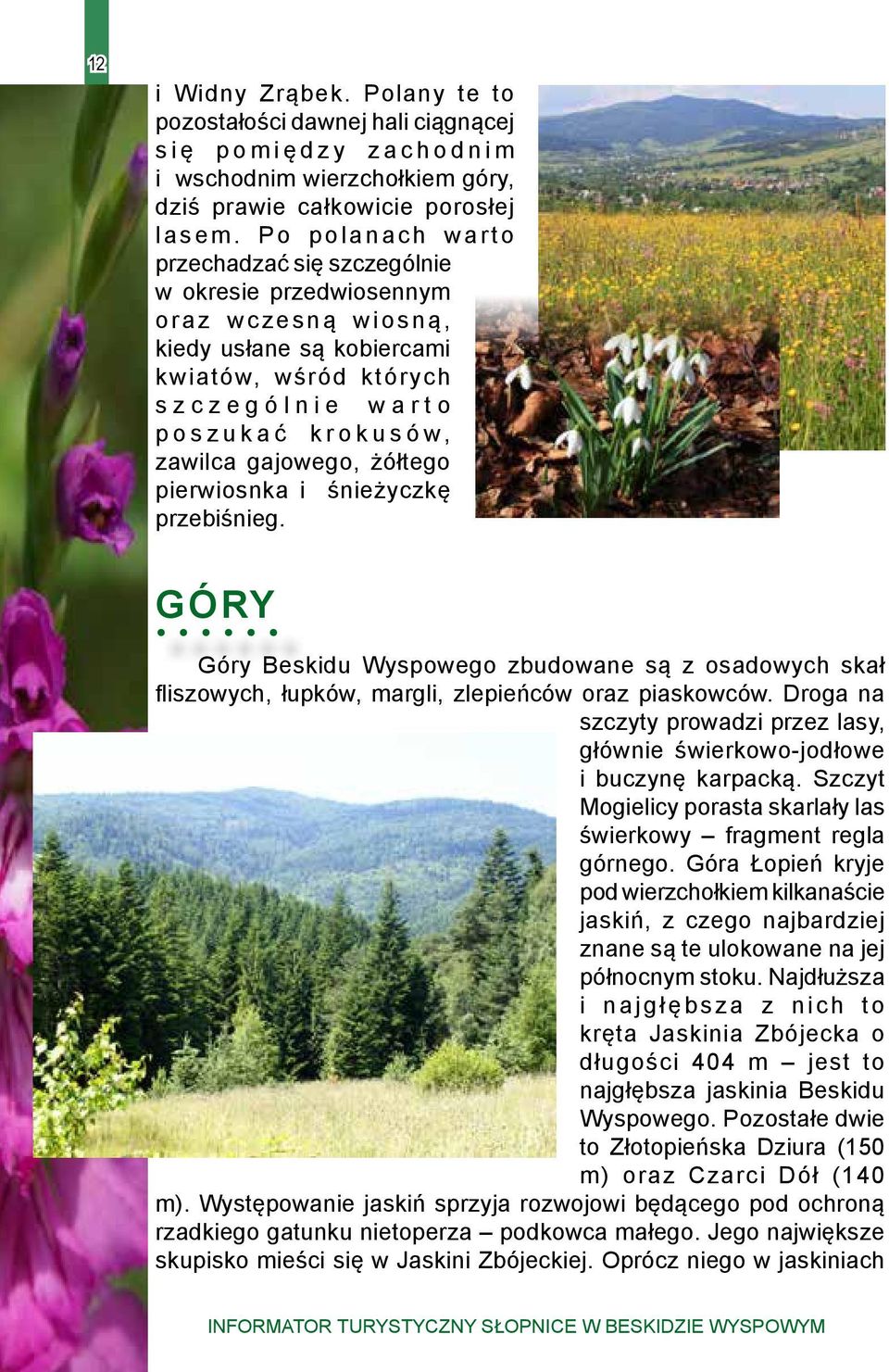żółtego pierwiosnka i śnieżyczkę przebiśnieg. GÓRY Góry Beskidu Wyspowego zbudowane są z osadowych skał fliszowych, łupków, margli, zlepieńców oraz piaskowców.