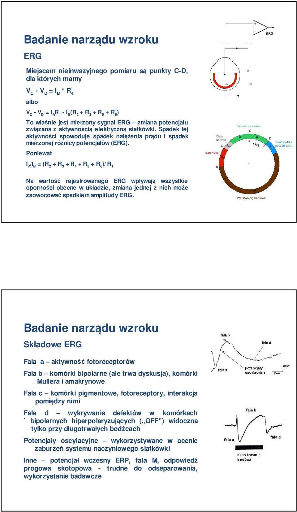 Ponieważ I A /I B = (R + R 3 + R 4 + R 5 + R 6 )/ R 1 a wartość rejestrowanego ERG wpływają wszystkie oporności obecne w układzie, zmiana jednej z nich może zaowocować spadkiem amplitudy ERG.