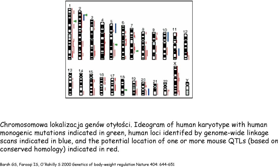identifed by genome-wide linkage scans indicated in blue, and the potential location of one or