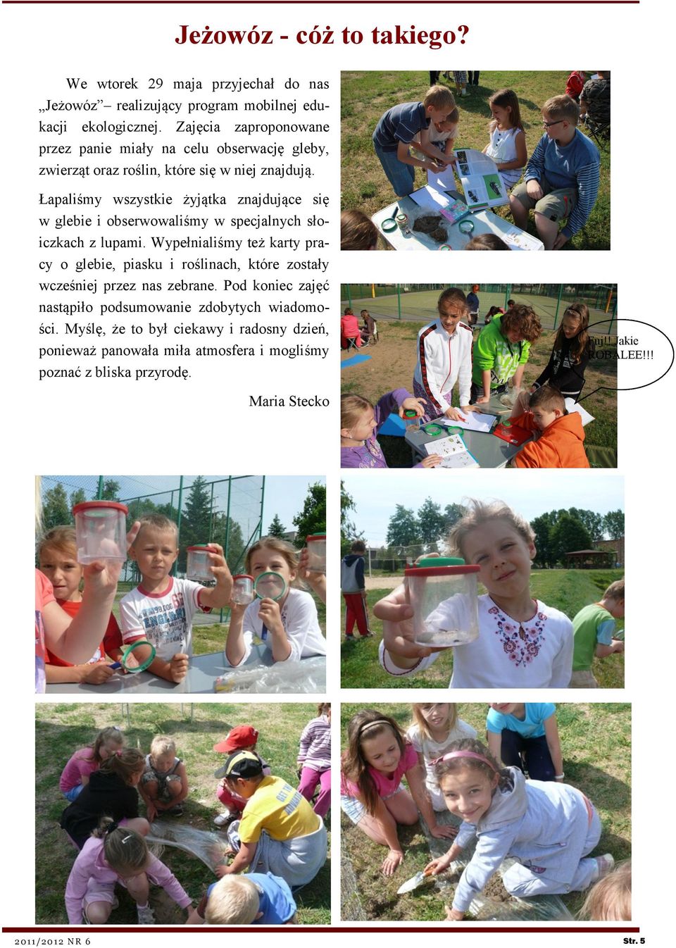 Łapaliśmy wszystkie żyjątka znajdujące się w glebie i obserwowaliśmy w specjalnych słoiczkach z lupami.