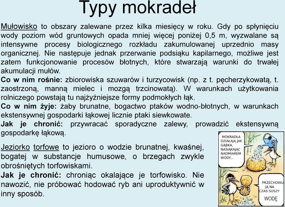 Nie następuje jednak przerwanie podsiąku kapilarnego, możliwe jest zatem funkcjonowanie procesów błotnych, które stwarzają warunki do trwałej akumulacji mułów.