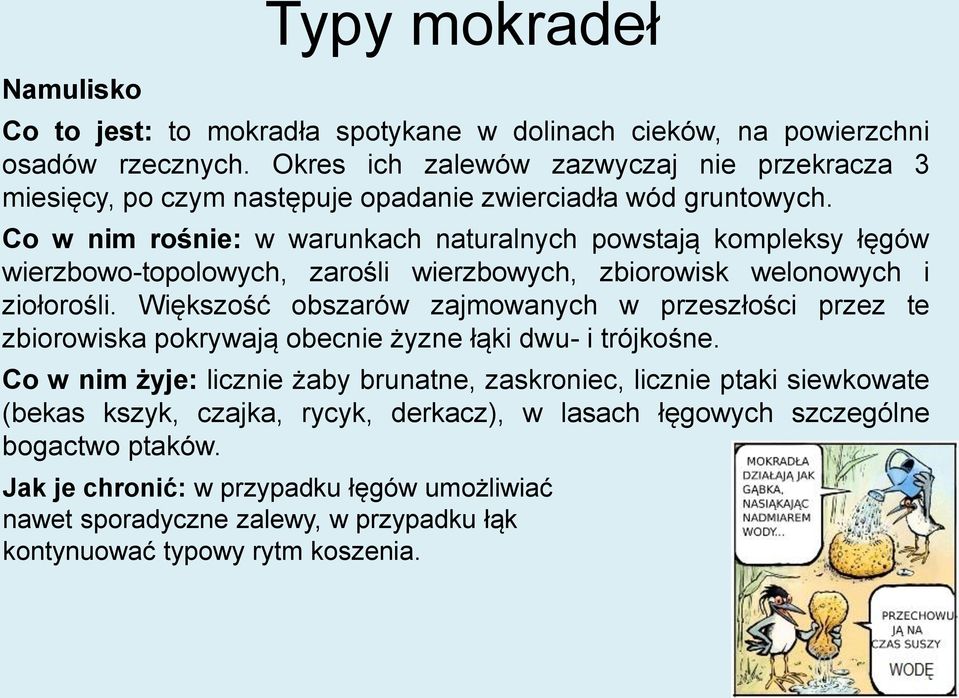 Co w nim rośnie: w warunkach naturalnych powstają kompleksy łęgów wierzbowo-topolowych, zarośli wierzbowych, zbiorowisk welonowych i ziołorośli.