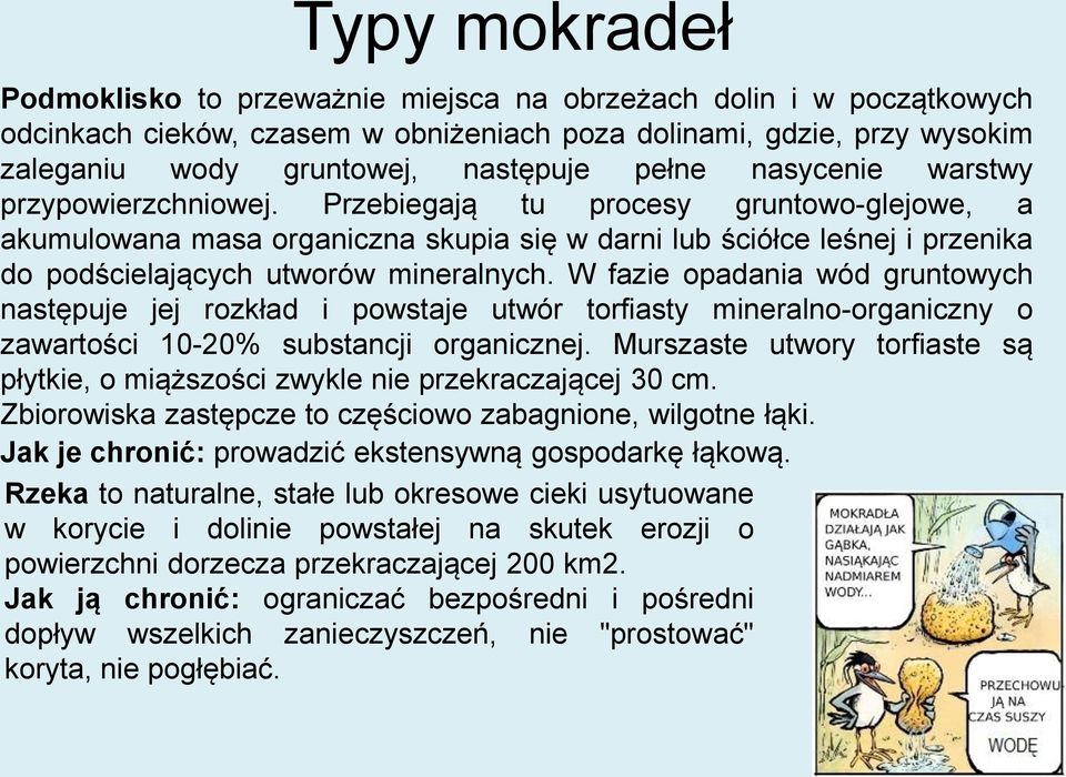 W fazie opadania wód gruntowych następuje jej rozkład i powstaje utwór torfiasty mineralno-organiczny o zawartości 10-20% substancji organicznej.