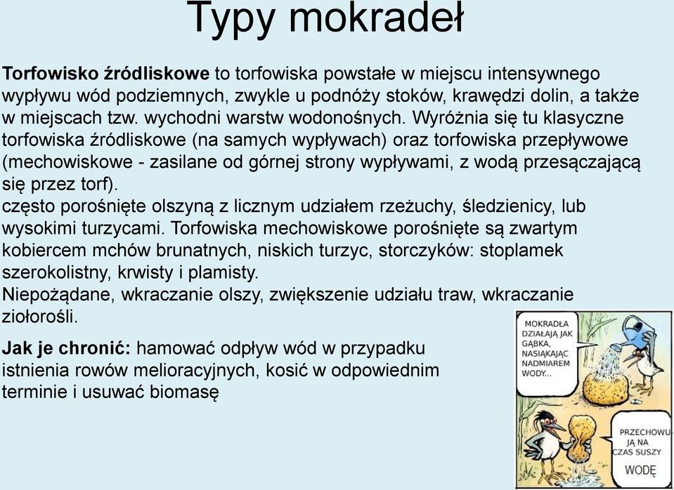 Wyróżnia się tu klasyczne torfowiska źródliskowe (na samych wypływach) oraz torfowiska przepływowe (mechowiskowe - zasilane od górnej strony wypływami, z wodą przesączającą się przez torf).