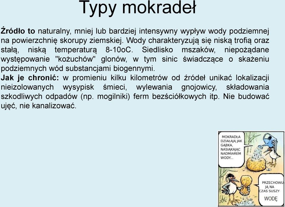 Siedlisko mszaków, niepożądane występowanie "kożuchów" glonów, w tym sinic świadczące o skażeniu podziemnych wód substancjami biogennymi.