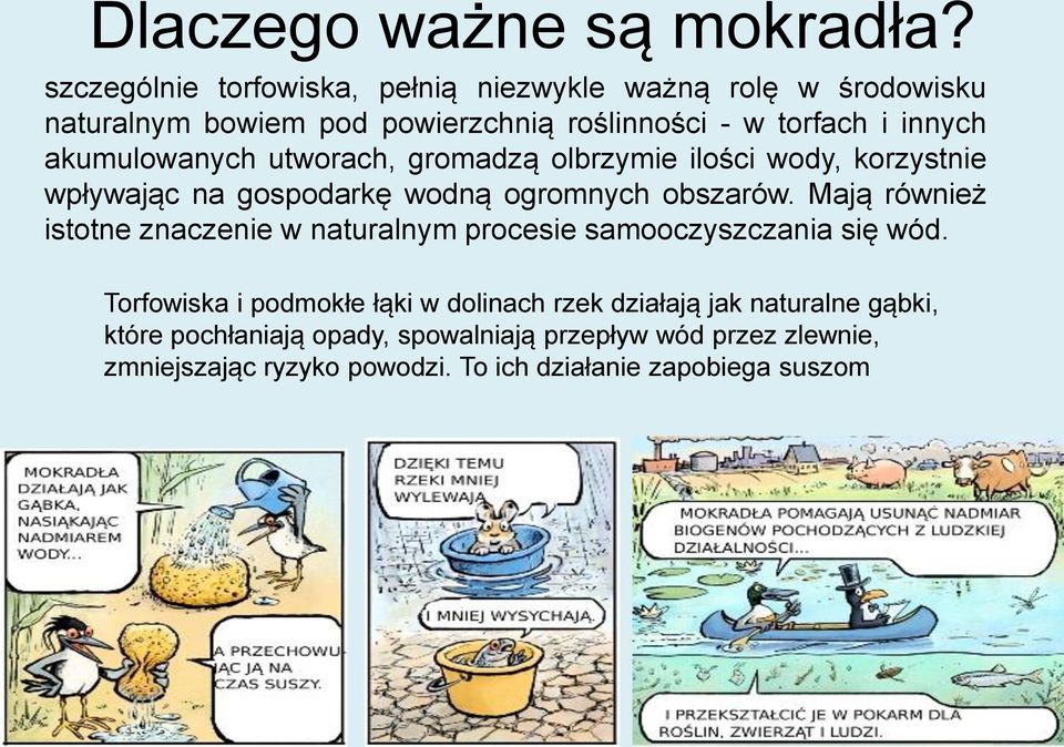 akumulowanych utworach, gromadzą olbrzymie ilości wody, korzystnie wpływając na gospodarkę wodną ogromnych obszarów.