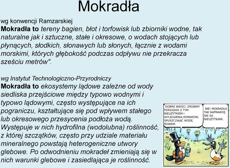 wg Instytut Technologiczno-Przyrodniczy Mokradła to ekosystemy lądowe zależne od wody siedliska przejściowe między typowo wodnymi i typowo lądowymi, często występujące na ich pograniczu, kształtujące
