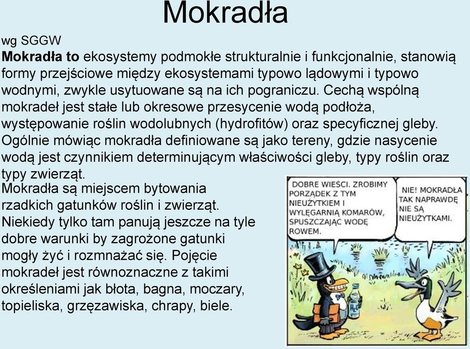 Ogólnie mówiąc mokradła definiowane są jako tereny, gdzie nasycenie wodą jest czynnikiem determinującym właściwości gleby, typy roślin oraz typy zwierząt.