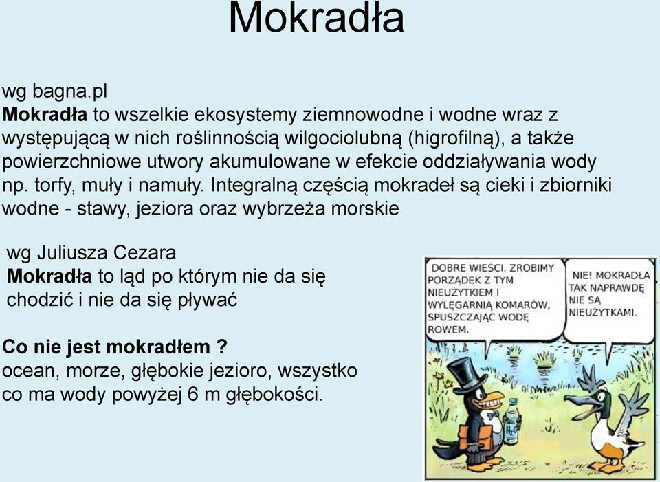także powierzchniowe utwory akumulowane w efekcie oddziaływania wody np. torfy, muły i namuły.