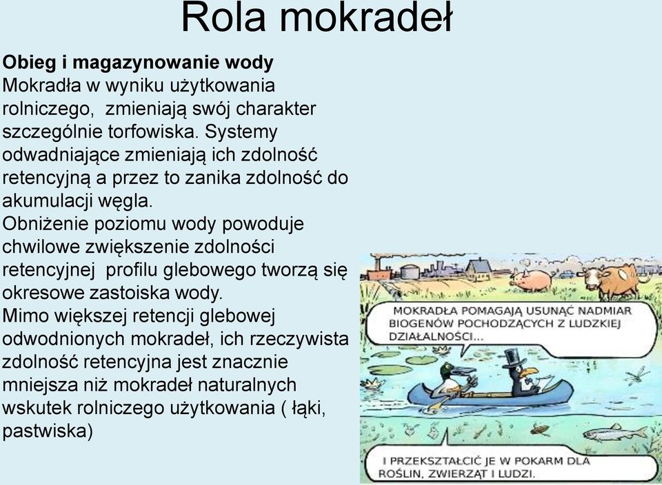 Obniżenie poziomu wody powoduje chwilowe zwiększenie zdolności retencyjnej profilu glebowego tworzą się okresowe zastoiska wody.