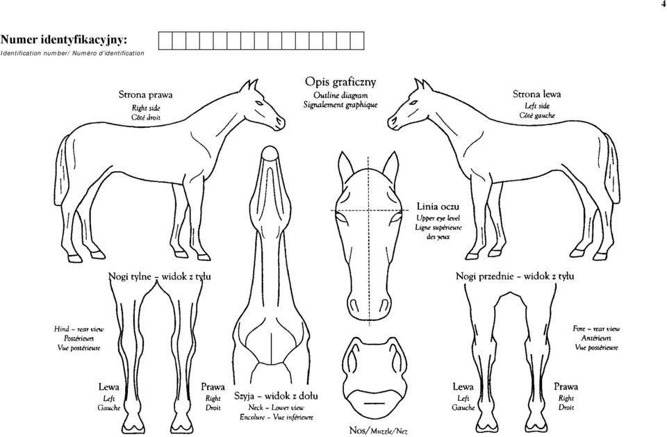 Identification