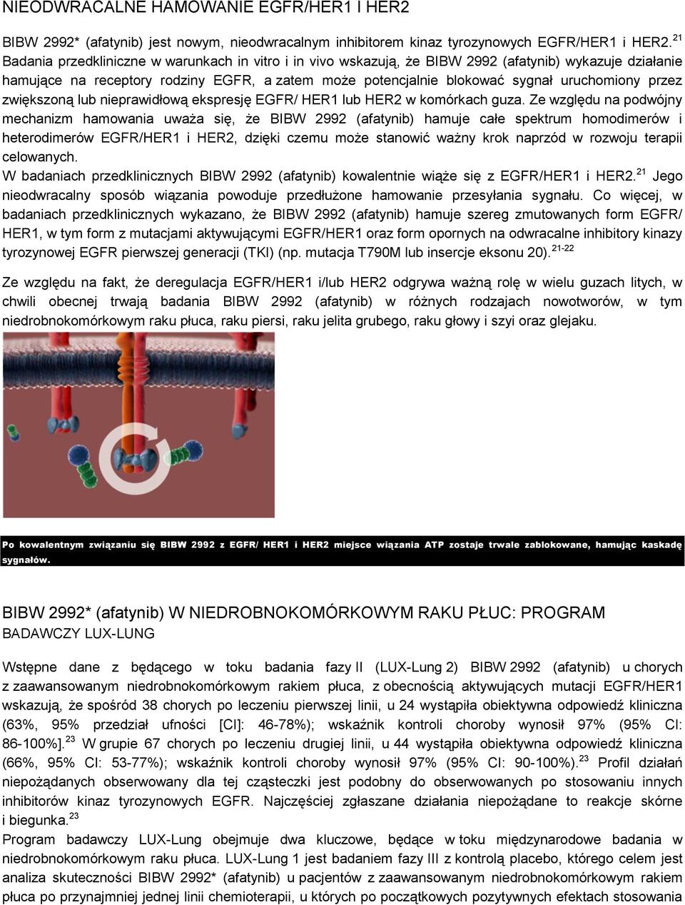 przez zwiększoną lub nieprawidłową ekspresję EGFR/ HER1 lub HER2 w komórkach guza.
