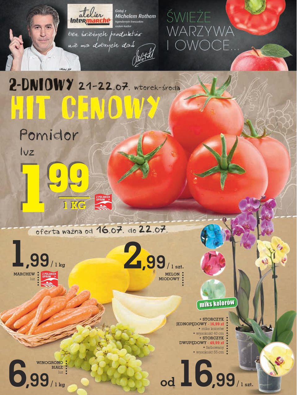 miks kolorów wysokość 40 cm STORcZYK DWUPĘDOWY - 49,99 zł