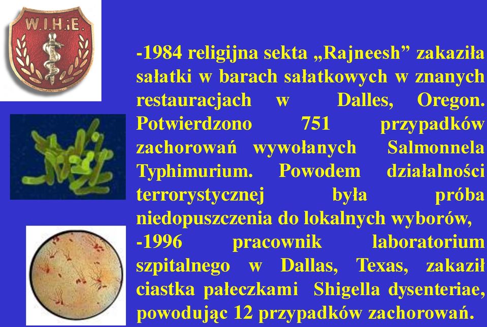 Powodem działalności terrorystycznej była próba niedopuszczenia do lokalnych wyborów, -1996 pracownik