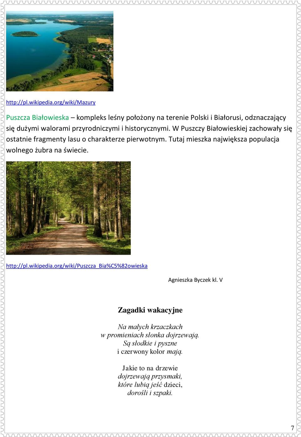 historycznymi. W Puszczy Białowieskiej zachowały się ostatnie fragmenty lasu o charakterze pierwotnym.