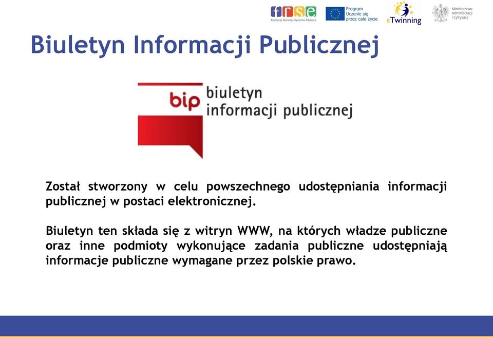 Biuletyn ten składa się z witryn WWW, na których władze publiczne oraz inne