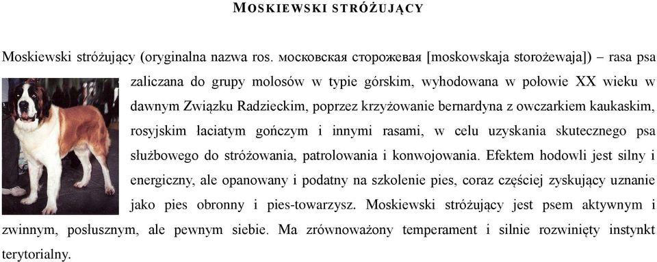 bernardyna z owczarkiem kaukaskim, rosyjskim łaciatym gończym i innymi rasami, w celu uzyskania skutecznego psa służbowego do stróżowania, patrolowania i konwojowania.