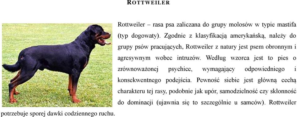 intruzów. Według wzorca jest to pies o zrównoważonej psychice, wymagający odpowiedniego i konsekwentnego podejścia.