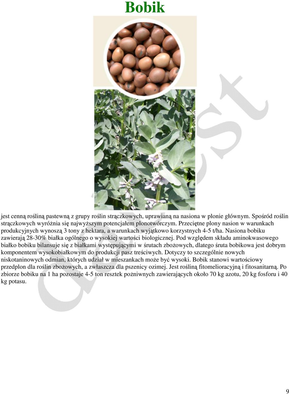 Nasiona bobiku zawierają 28-30% białka ogólnego o wysokiej wartości biologicznej.
