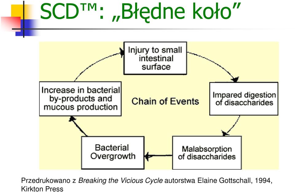 the Vicious Cycle autorstwa