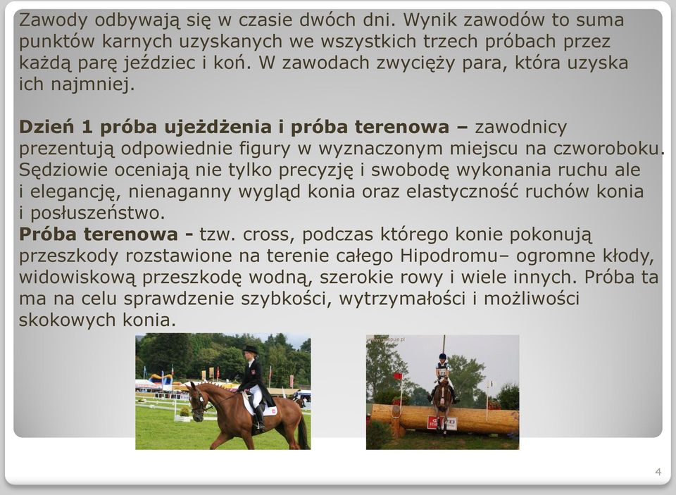 Sędziowie oceniają nie tylko precyzję i swobodę wykonania ruchu ale i elegancję, nienaganny wygląd konia oraz elastyczność ruchów konia i posłuszeństwo. Próba terenowa - tzw.